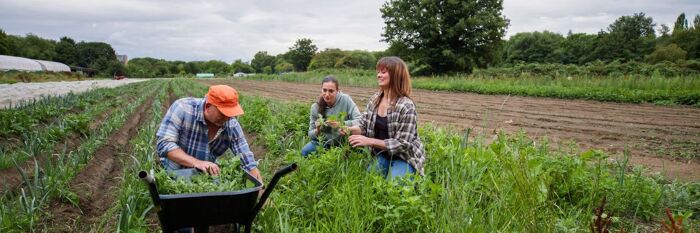 Inheritance Tax & Agricultural Land - Key Changes for Scottish Farming Clients