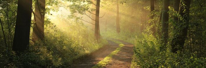 Natural Capital in Wales - Sustainable Farming, Biodiversity & Land Management